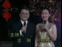 主持1995年央视中秋晚会